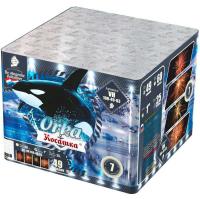 Косатка Фейерверк купить #REGION_NAME_DECLINE_PP# | #REGION_TAG_VSTAVKA_TAYT#