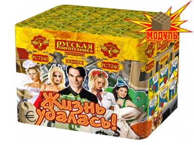 Жизнь удалась Фейерверк купить в Тюмени | tyumen.salutsklad.ru