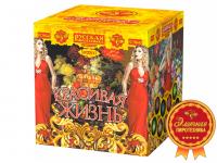 Красивая жизнь Фейерверк купить в Тюмени | tyumen.salutsklad.ru