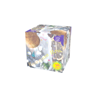 Новогодняя ночь Салют купить в Тюмени | tyumen.salutsklad.ru