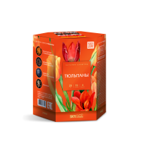 Тюльпаны Салют купить в Тюмени | tyumen.salutsklad.ru