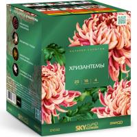 Хризантемы Фейерверк купить в Тюмени | tyumen.salutsklad.ru