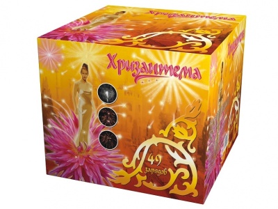 Хризантема Салют купить в Тюмени | tyumen.salutsklad.ru