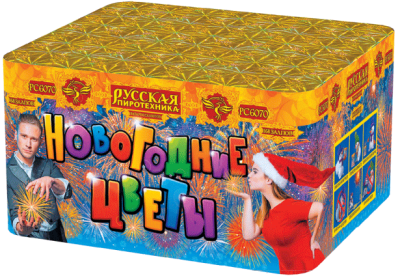 Новогодние цветы Фейерверк купить в Тюмени | tyumen.salutsklad.ru