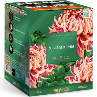 Хризантемы Фейерверк купить в Тюмени | tyumen.salutsklad.ru