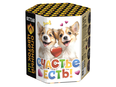 Счастье есть! Салют купить в Тюмени | tyumen.salutsklad.ru